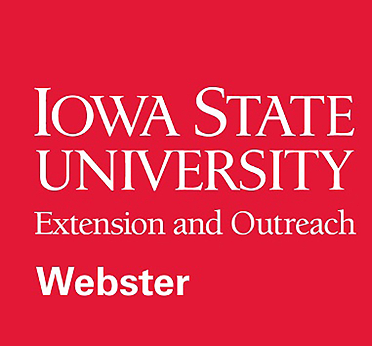 webster2