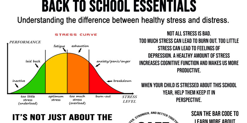 Back to School Essentials: Healthy Stress vs. Distress